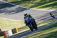 brands-hatch-photographs;brands-no-limits-trackday;cadwell-trackday-photographs;enduro-digital-images;event-digital-images;eventdigitalimages;no-limits-trackdays;peter-wileman-photography;racing-digital-images;trackday-digital-images;trackday-photos